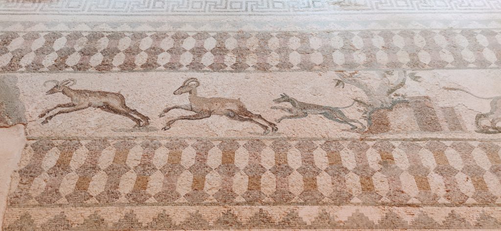 Mozaiki z Pafos