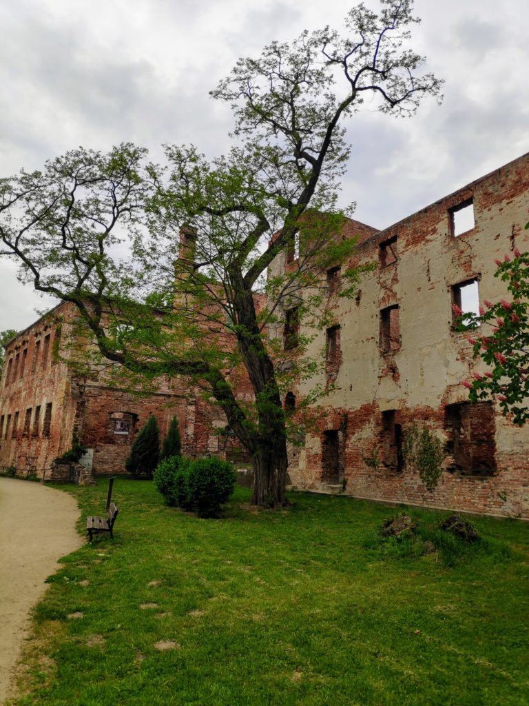 Żmigród – Zespół pałacowy z XVII w. Pałac Hatzfeldów wraz z pięknym parkiem.